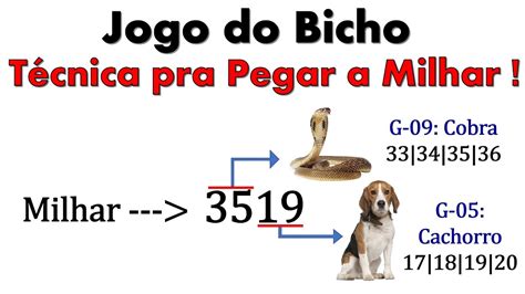 milhar no jogo do bicho